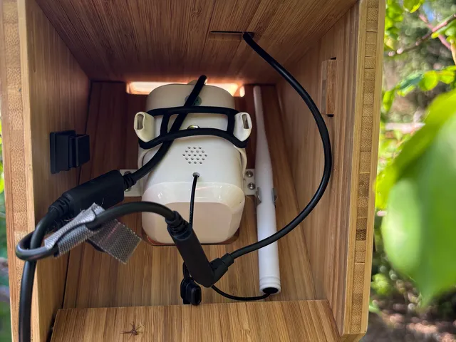 Image may contain: Wood, Hardwood, Indoors, Interior Design, Stained Wood, Box, and Plywood